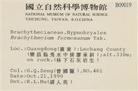 登錄號:B00009019藏品圖，第2張