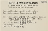 登錄號:B00009022藏品圖，第2張
