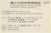 登錄號:B00009059藏品圖，第2張