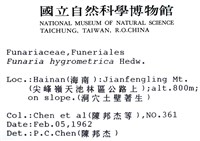 葫蘆蘚藏品圖，第2張