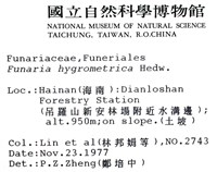 葫蘆蘚藏品圖，第2張