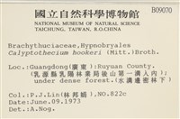 登錄號:B00009070藏品圖，第2張