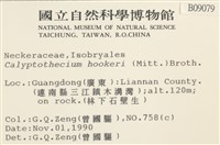 登錄號:B00009079藏品圖，第2張