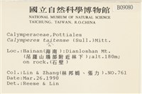 海島花葉蘚藏品圖，第2張