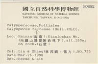 海島花葉蘚藏品圖，第2張
