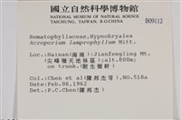 登錄號:B00009112藏品圖，第2張