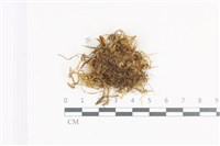 登錄號:B00009127藏品圖，第1張