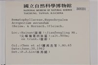 登錄號:B00009201藏品圖，第2張