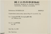 登錄號:B00009221藏品圖，第2張