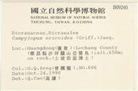 登錄號:B00009240藏品圖，第2張