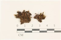 登錄號:B00009240藏品圖，第1張