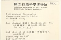 登錄號:B00009242藏品圖，第2張