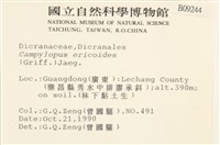 登錄號:B00009244藏品圖，第2張