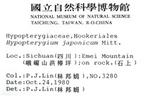 日本孔雀蘚藏品圖，第2張