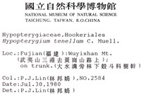 南亞孔雀蘚藏品圖，第2張