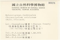 登錄號:B00009276藏品圖，第2張