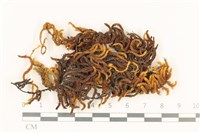 登錄號:B00009276藏品圖，第1張