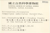 登錄號:B00009280藏品圖，第2張