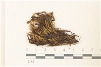 登錄號:B00009280藏品圖，第1張