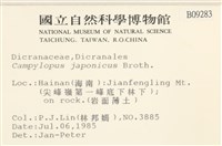 日本曲柄蘚藏品圖，第2張