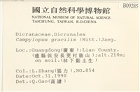 登錄號:B00009285藏品圖，第2張