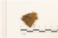 登錄號:B00009285藏品圖，第1張