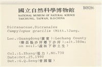 登錄號:B00009286藏品圖，第2張