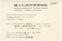 登錄號:B00009288藏品圖，第2張