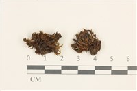 登錄號:B00009288藏品圖，第1張