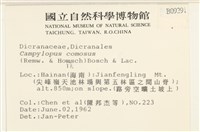 登錄號:B00009291藏品圖，第2張