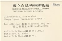 日本曲柄蘚藏品圖，第2張