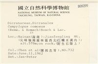 登錄號:B00009299藏品圖，第2張