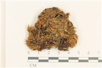 登錄號:B00009299藏品圖，第1張