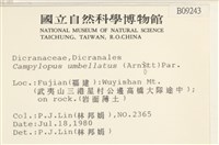 登錄號:B00009343藏品圖，第2張