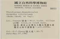 登錄號:B00009353藏品圖，第2張