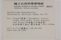 山羽蘚藏品圖，第2張