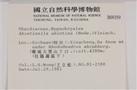 山羽蘚藏品圖，第2張