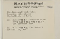 登錄號:B00009368藏品圖，第2張