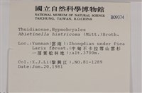 登錄號:B00009374藏品圖，第2張