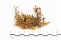 登錄號:B00009374藏品圖，第1張