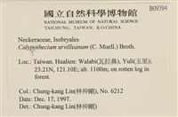 登錄號:B00009394藏品圖，第2張