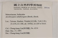 大灰氣蘚藏品圖，第2張