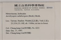 大灰氣蘚藏品圖，第2張