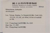 登錄號:B00009426藏品圖，第2張