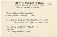 蛇苔藏品圖，第2張