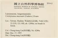 登錄號:B00009465藏品圖，第2張