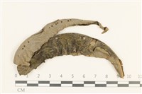 登錄號:B00009466藏品圖，第1張