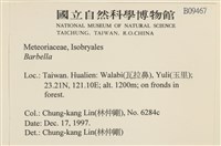 登錄號:B00009467藏品圖，第2張