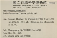 登錄號:B00009482藏品圖，第2張