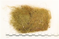 登錄號:B00009482藏品圖，第1張